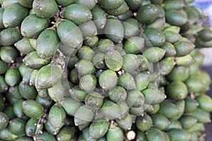 Raw betel nut in market photo