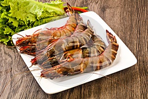 Raw big tiger prawn
