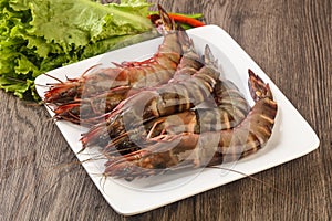 Raw big tiger prawn