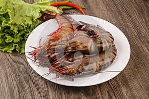 Raw big tiger prawn