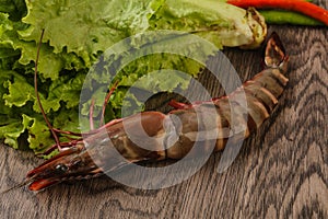 Raw big tiger prawn