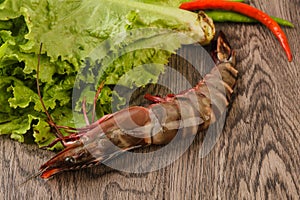 Raw big tiger prawn