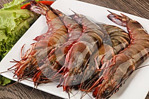 Raw big tiger prawn