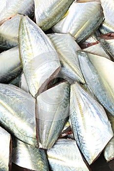 Raw Bigeye trevally or Dusky jack fish of ingredients for cooking.