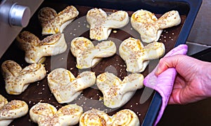 Raw biscuits on a baking sheet, ready to cook