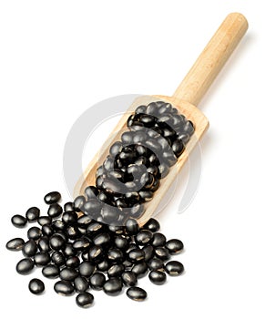 Raw black bean in the wooden scoop, isolated on white