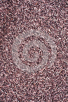Raw black Glutinous rice