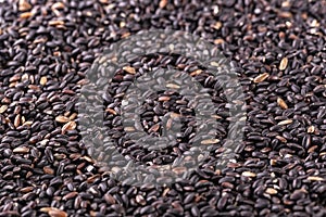 The raw black rice as background