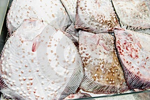 Raw black sea Kalkan close - up on the market counter