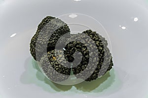 Raw black truffles on a plate photo