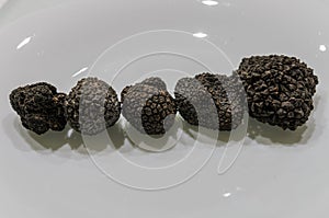 Raw black truffles on a plate photo