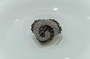 Raw black truffles on a plate photo