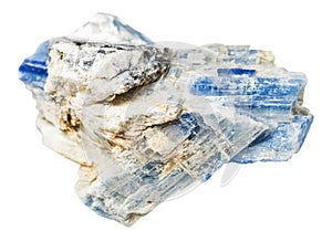 raw blue kyanite crystals in rock isolated