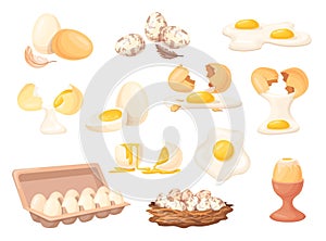 Raw boiled eggs. Cartoon chicken or quail egg carton tray pack, eco protein meal breakfast half fried fresh yolk in