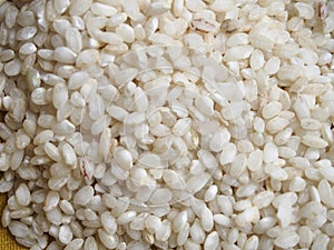 Raw bomba white rice photo