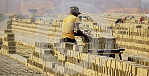 Raw bricks are ready for final process.A Bangladeshi worker collects raw bricks on a van