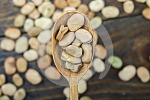 Raw broad beans in a spoon