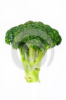 Raw Broccoli Florets