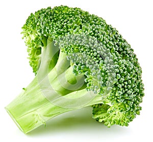 Raw broccoli isolated