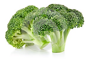 Raw broccoli isolated