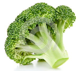 Raw broccoli isolated