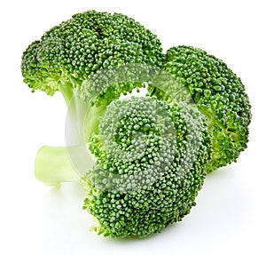 Raw broccoli isolated