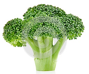 Raw broccoli isolated