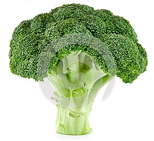 Raw broccoli isolated