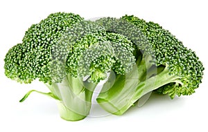 Raw broccoli isolated