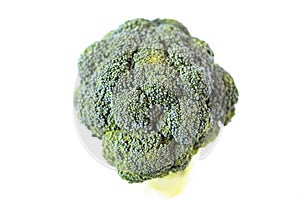 Raw broccoli isolated