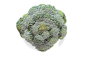 Raw broccoli isolated