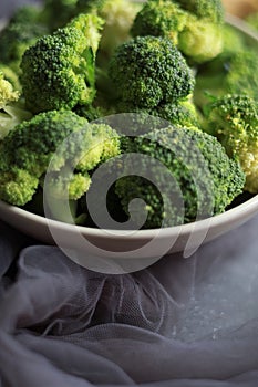 Raw Broccoli Isolated Photo Fresh Dark Mood Photography