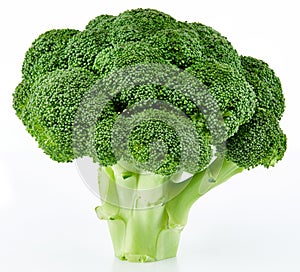 Raw broccoli isolated