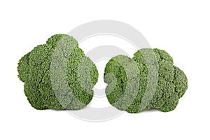 Raw broccoli isolated on white background