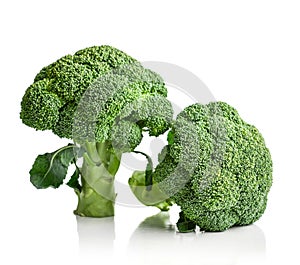 Raw broccoli isolated