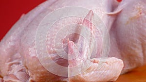 Raw broiler chicken meat is rotated. Fresh diet poultry meat on a bright orange background. Raw chicken carcass close-up rotates.