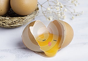 raw broken chicken egg , egg yolk in shell