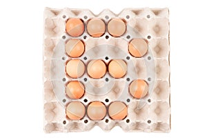 Raw brown Chicken Eggs In paper container tray box arranged English alphabet is ` B `.