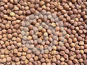 Raw brown color Chickpeas