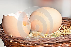 Raw brown eggs.