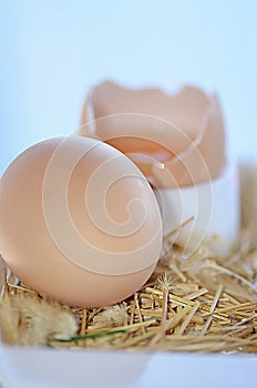 Raw brown eggs.