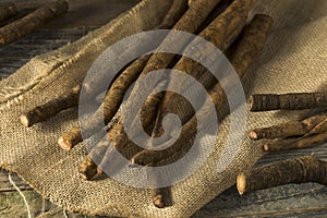 Raw Brown Organic Burdock Root photo