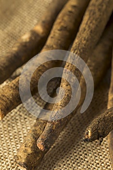 Raw Brown Organic Burdock Root
