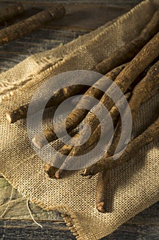 Raw Brown Organic Burdock Root