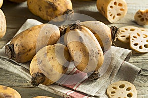 Raw Brown Organic Lotus Root