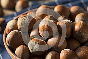 Raw Brown Organic Shelled Hazelnut Filberts