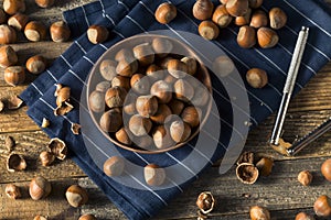 Raw Brown Organic Shelled Hazelnut Filberts