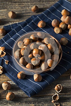 Raw Brown Organic Shelled Hazelnut Filberts