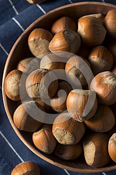 Raw Brown Organic Shelled Hazelnut Filberts