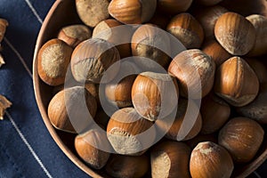 Raw Brown Organic Shelled Hazelnut Filberts